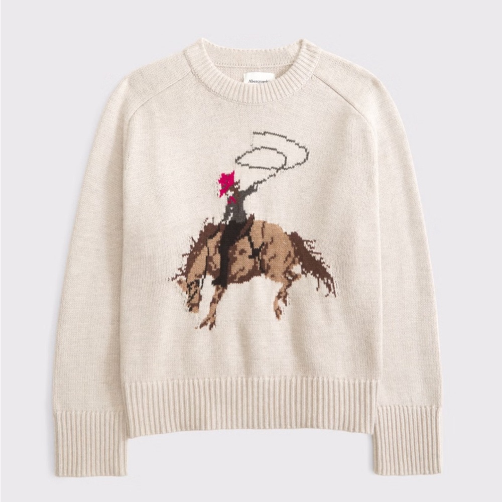 The A&F Madeline Cowgirl Crew Sweater